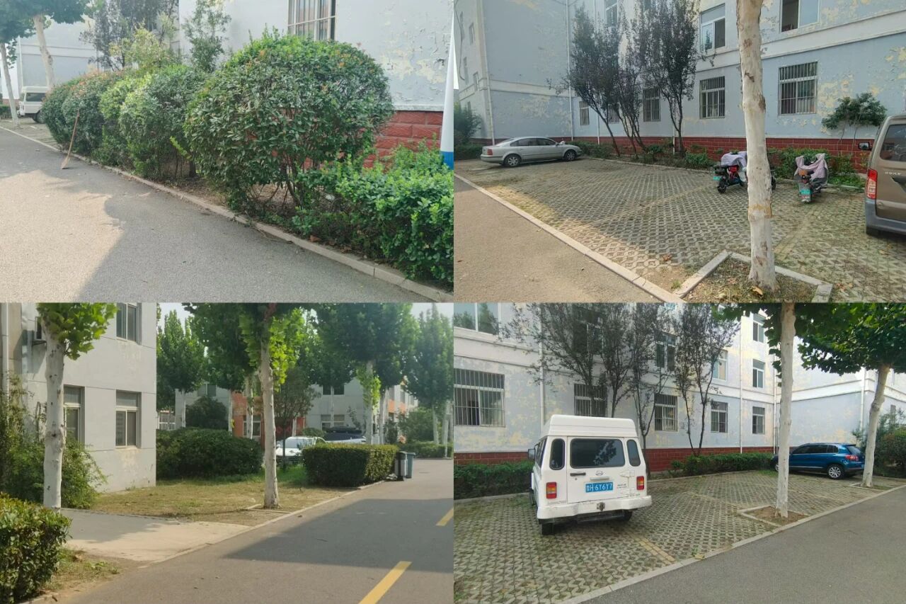 【魯南電商】共建美麗園區(qū)，我們?cè)谛袆?dòng)！1